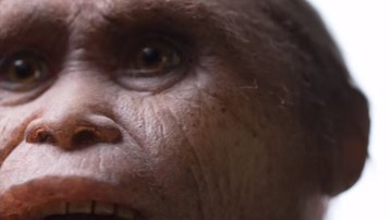 Los homínidos tienen una antigüedad de unos 700,000 años.