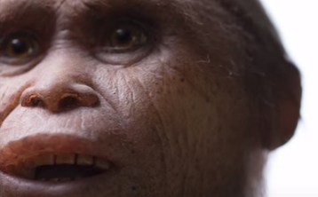 Los homínidos tienen una antigüedad de unos 700,000 años.