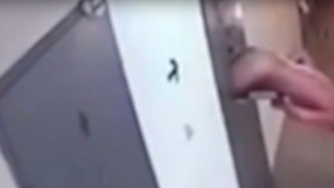 Las imágenes fueron captadas en una prisión de Daguestán, en Rusia.