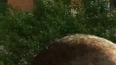 La comisionada de Salud de Nueva York, la doctora Mary Bassett, distribuyó material sobre el Zika en la estación de los trenes A, C y 1, ubicada en la esquina de la calle 168 y Broadway en Washington Heights.