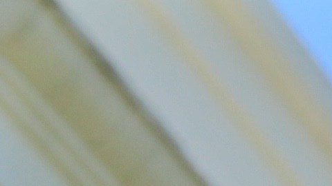 Tras su reunión privada con el presidente Barack Obama, el senador Bernie Sanders expresó su deseo de "trabajar junto" con Hillary Clinton para derrotar a Donald Trump en noviembre próximo. Foto: María Peña/Impremedia