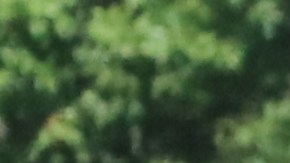 Activistas fueron arrestados durante audiencia en la que exigieron un cese a las deportaciones, y le gritaron al secretario de Seguridad Nacional, Jeh Johnson, que "tiene sangre en las manos". Fotos: María Peña/Impremedia