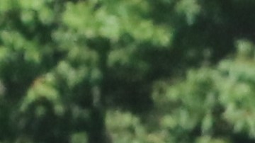 Activistas fueron arrestados durante audiencia en la que exigieron un cese a las deportaciones, y le gritaron al secretario de Seguridad Nacional, Jeh Johnson, que "tiene sangre en las manos". Fotos: María Peña/Impremedia