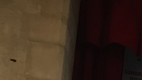 Candidatos del Distrito 13 debatieron por la silla de Charles Rangel en el Congreso