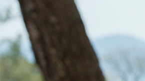 José Manuel Figueroa es Joan Sebastian.