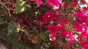 "Es muy pronto para cortarlo, pero creo que él ya se dio cuenta de que no puede estar confundiendo a los jugadores", dice Manuel Rodríguez, uno de tantos mexicanos tristes por la goleada recibida.