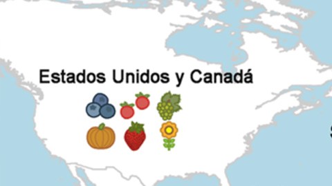 mapa alimentos