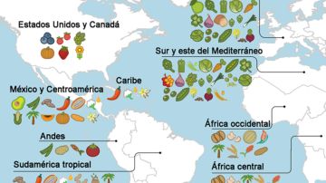 mapa alimentos