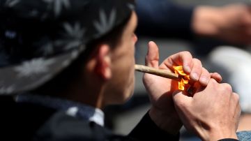 Los electores de California decidirán si se permite el uso recreacional de marihuana en las próximas elecciones en noviembre.