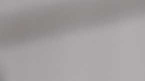 Los puertorriqueños se tomaron la Quinta Avenida para su tradicional desfile.