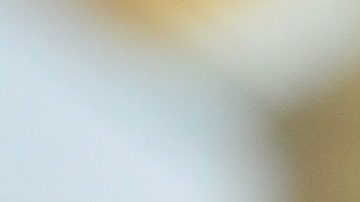 Carlos Valderrama sigue siendo una leyenda viva en el futbol continental.