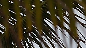 La autonomía de Puerto Rico sufrió un duro golpe.