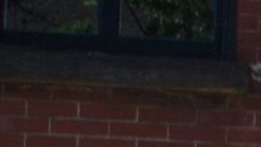 Habrán oficiales con armas pesadas para servir como "disuasión visual".