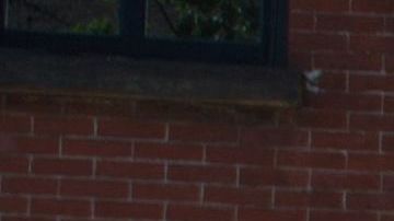 Habrán oficiales con armas pesadas para servir como "disuasión visual".