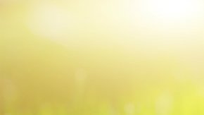 Muchos problemas del organismo se ven reflejados en los pies.