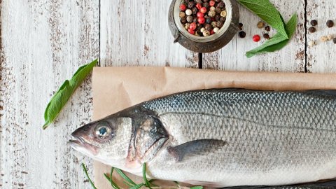 Debido a algunas sustancias que el pescado absorbe de su entorno, puede generar este trastorno en los más pequeños.