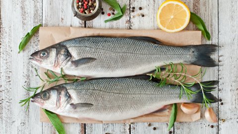 Debido a algunas sustancias que el pescado absorbe de su entorno, puede generar este trastorno en los más pequeños.