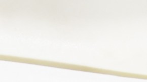 Se confirmó la presencia del virus de Nilo Occidental en mosquitos de la especie Culex pipiens que fueron capturados el 12 de junio.