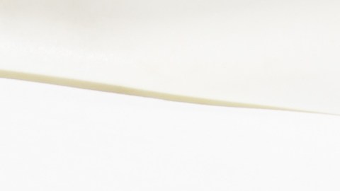 Se confirmó la presencia del virus de Nilo Occidental en mosquitos de la especie Culex pipiens que fueron capturados el 12 de junio.