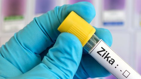 Los expertos creen que desarrollarán más de una vacuna en poco tiempo para proteger a las personas de este virus.