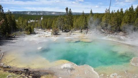 Así lucen las fuentes termales en el área de la cuenca de géiseres de Norris en Yellowstone.