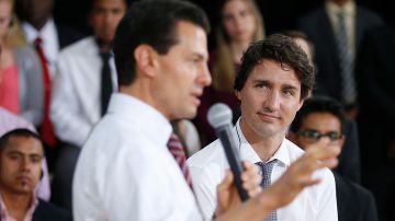 El primer ministro canadiense Justin Trudeau encabezó un evento en junio pasado junto al presidente mexicano Enrique Peña Nieto en la ciudad de Ottawa.