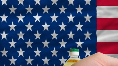 La idea de un ingreso básico universal empieza a ganar expacio  en los debates sobre el futuro del empleo./ Shutterstock