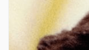 El cantautor chileno, Víctor Jara, fue torturado y asesinado en 1973, y uno de sus autores materiales afrontará juicio en Florida.