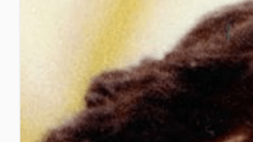 El cantautor chileno, Víctor Jara, fue torturado y asesinado en 1973, y uno de sus autores materiales afrontará juicio en Florida.