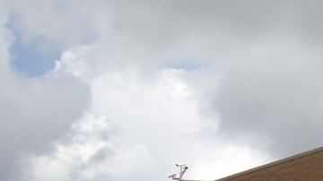 Un hombre armado abrió fuego en un Walmart de Amarillo, Texas. Podría tener rehenes.