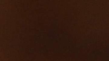 Ceremonia de ciudadanía en biblioteca de Nueva York