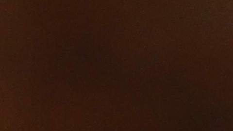 Ceremonia de ciudadanía en biblioteca de Nueva York