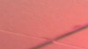 Nuevas regulaciones para lavanderias.
Photo Credito Mariela Lombard/El Diiario NY.