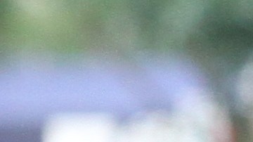 Los inmigrantes indocumentados, que suponen el 5% de la fuerza laboral del país, no recibirán la ayuda federal.