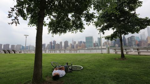 Nuestros Barrios - LIC, Queens - Gantry Plaza State Park. Photo Credito Mariela Lombard/El Diario NY.