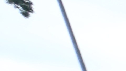 Jornaleros en Queens.
Photo Credito Mariela Lombard/El Diiario NY.