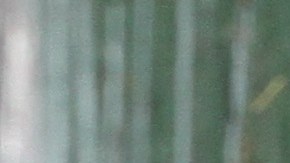 Dominicanos. Foto Crédito: Mariela Lombard / El Diario NY