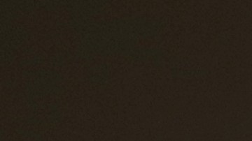 Desde su asilo, Julian Assange participa en un coloquio chileno de comunicación.