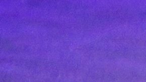 Una guardía de honor de la Policía permanece junto al ataúd, el 13 de julio de 2016, durante los servicios funerarios del cabo Mayor Lorne B. Ahrens en la Iglesia Bautista Prestonwood en Plano, Texas.