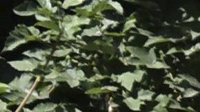 La policía turca escoltan a varios soldados acusados de planear el golpe de estado fallido, en Ankara, Turquía.