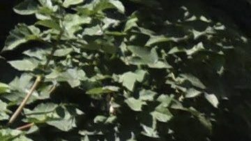 La policía turca escoltan a varios soldados acusados de planear el golpe de estado fallido, en Ankara, Turquía.