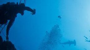 Riqueza natural de México.