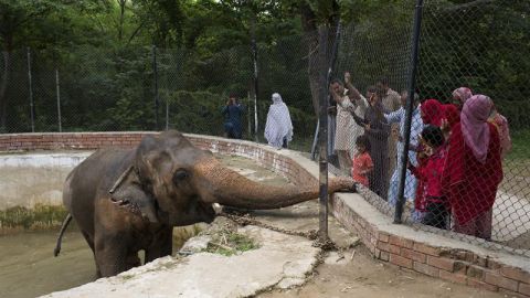 kaavan