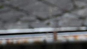 El papa se encuentra el Polonia con motivo de la celebración de la XXXI Jornada Mundial de la Juventud.