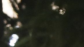 Policías cerca de una furgoneta, con su parabrisas acribillado, que chocó contra una multitud durante un espectáculo de fuegos artificiales en la ciudad de Niza, en Francia.