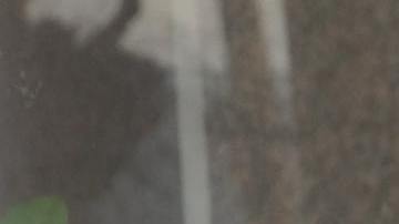 Carlos Mata sostiene uno de los documentos de defensa de violencia homicida.