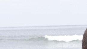 Don Francisco en la Frontera