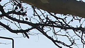 NYPD patrullando una escuela/Archivo.