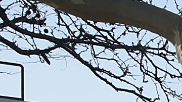 NYPD patrullando una escuela/Archivo.