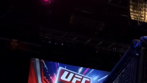 Troy Santiago ha narrado innumerables peleas del UFC.